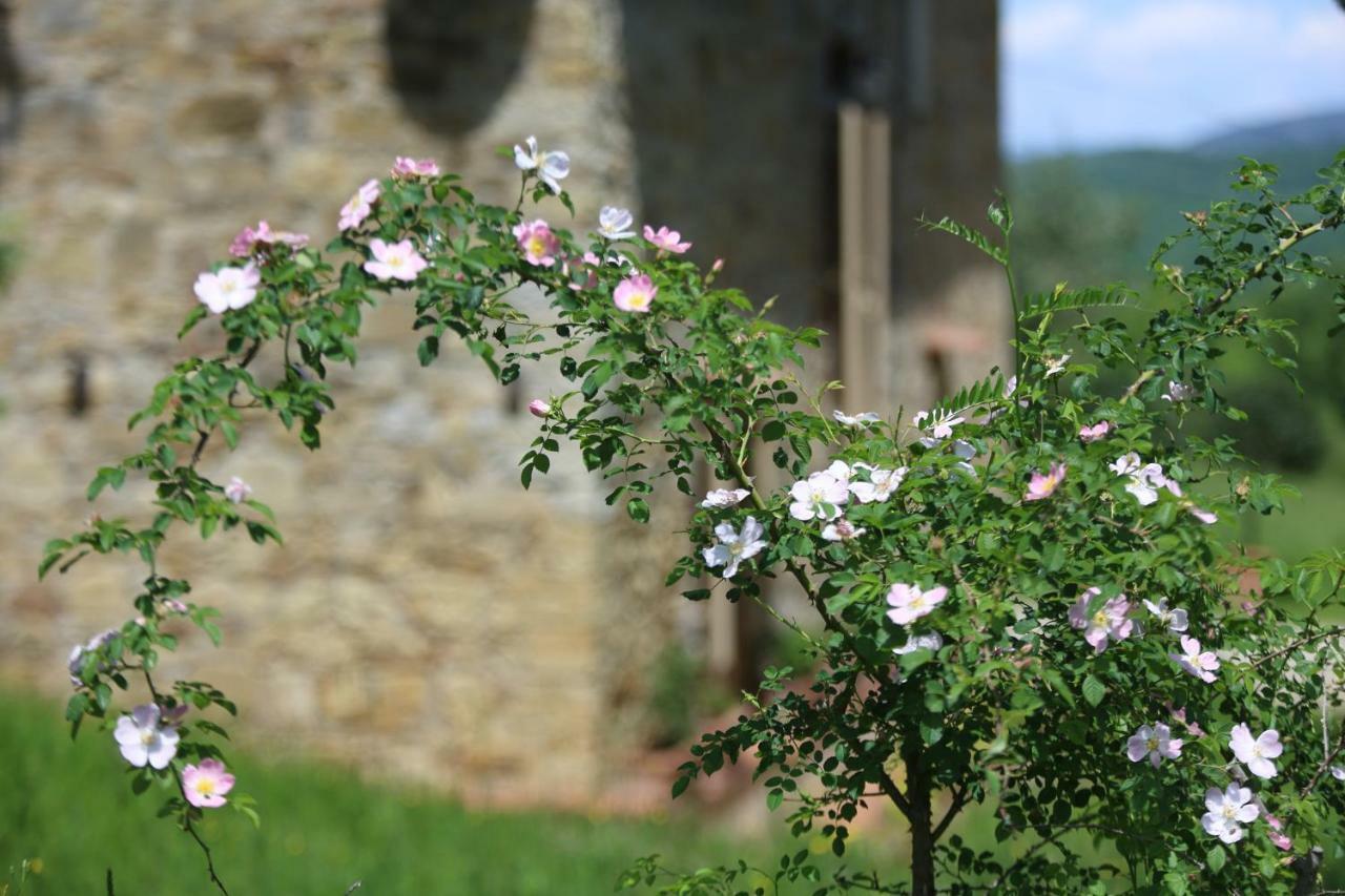 La Ghianda Del Mommo Bed & Breakfast Barberino di Val dʼElsa Exterior foto